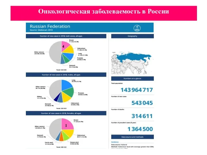 Онкологическая заболеваемость в России 4 1