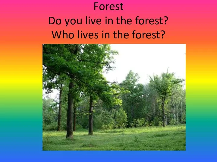 Forest Do you live in the forest? Who lives in the forest?