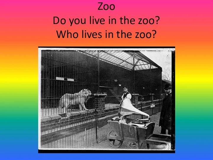 Zoo Do you live in the zoo? Who lives in the zoo?