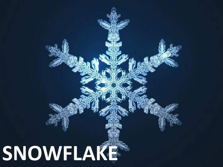 SNOWFLAKE