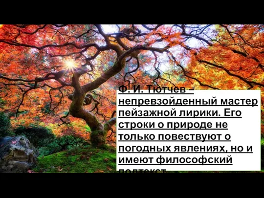 Ф. И. Тютчев – непревзойденный мастер пейзажной лирики. Его строки о природе