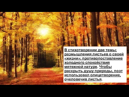 В стихотворении две темы: размышления листьев о своей «жизни»; противопоставление холодного спокойствия