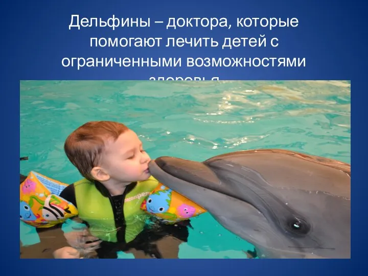 Дельфины – доктора, которые помогают лечить детей с ограниченными возможностями здоровья