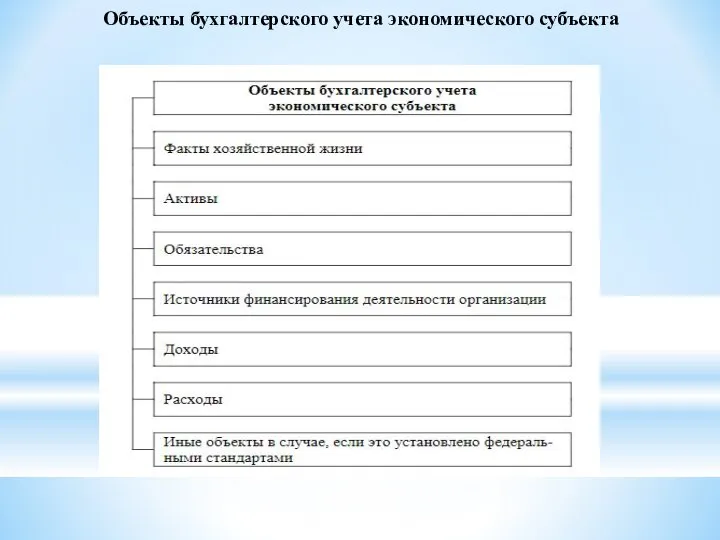 Объекты бухгалтерского учета экономического субъекта