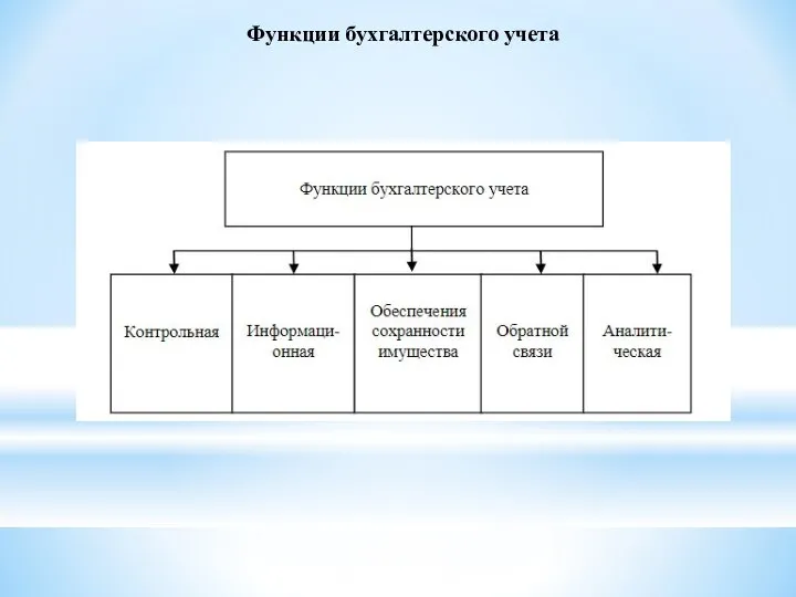 Функции бухгалтерского учета