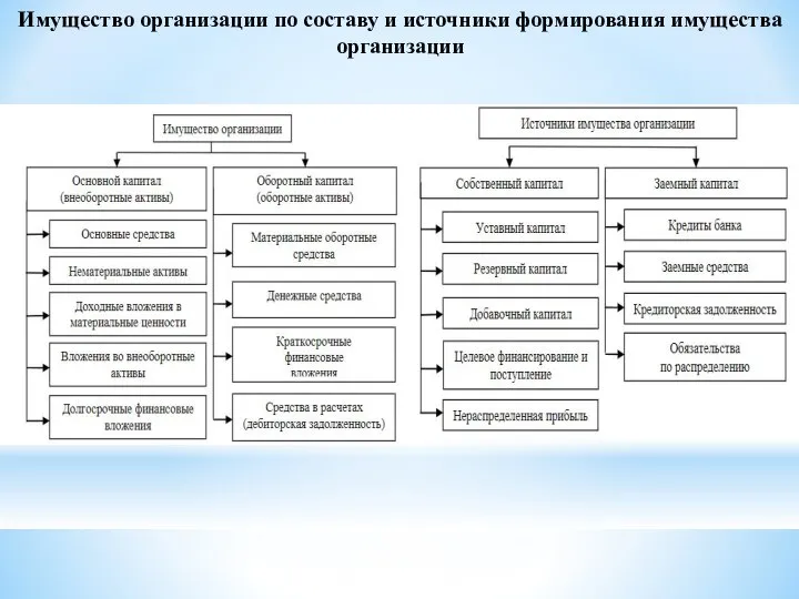 Имущество организации по составу и источники формирования имущества организации