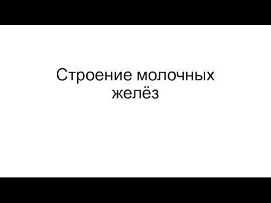 Строение молочных желёз