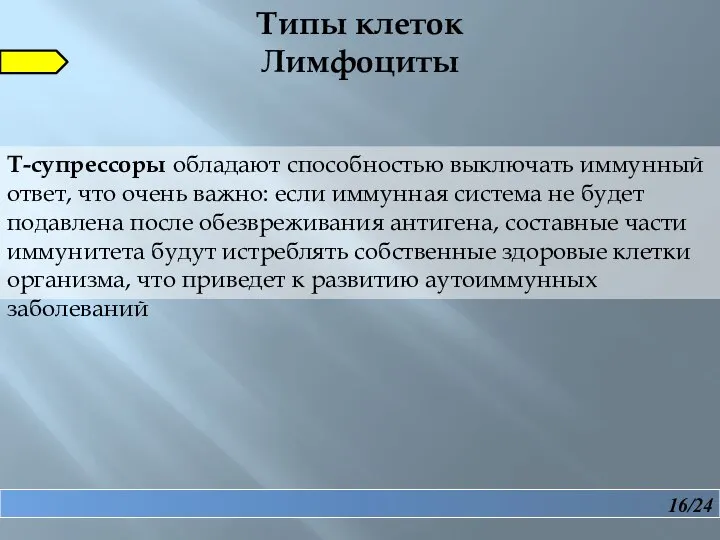 16/24 Типы клеток Лимфоциты Т-супрессоры обладают способностью выключать иммунный ответ, что очень