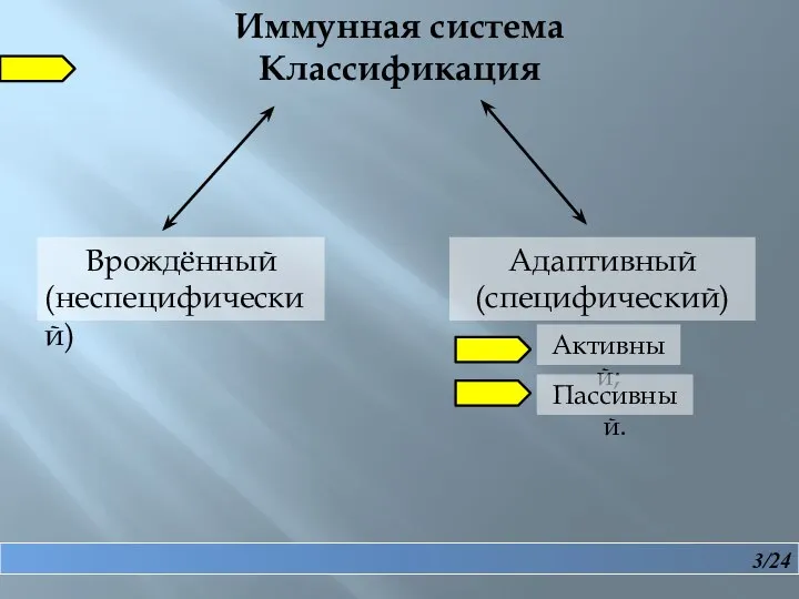 3/24 Иммунная система Классификация Врождённый (неспецифический) Адаптивный (специфический) Активный; Пассивный.