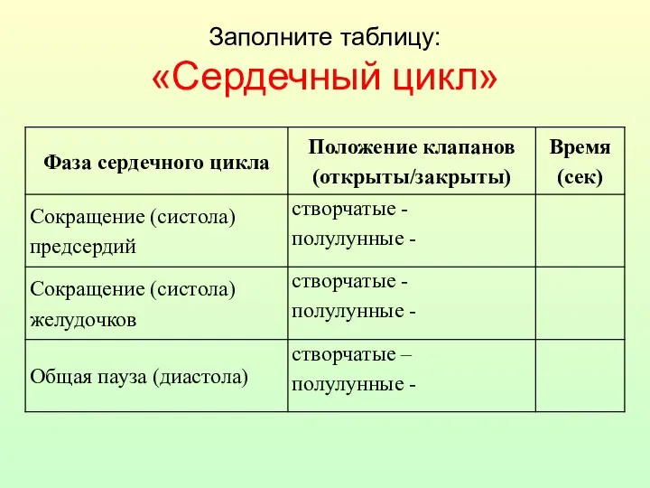 Заполните таблицу: «Сердечный цикл»