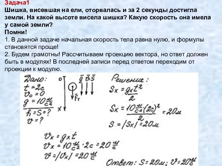 Задача1 Шишка, висевшая на ели, оторвалась и за 2 секунды достигла земли.