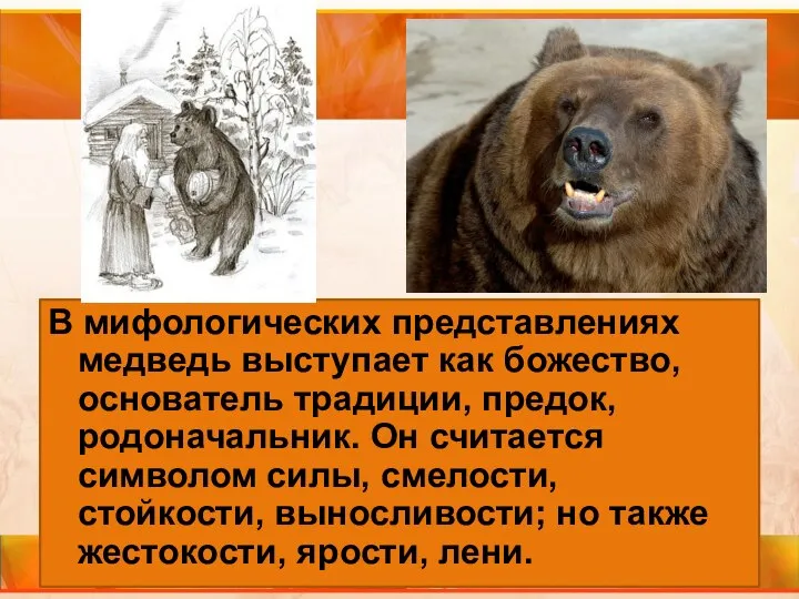 В мифологических представлениях медведь выступает как божество, основатель традиции, предок, родоначальник. Он