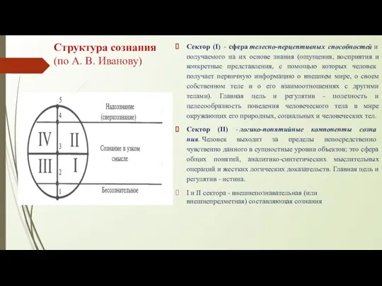 Структура сознания (по А. В. Иванову) Сектор (I) - сфера телесно-перцептивных способностей