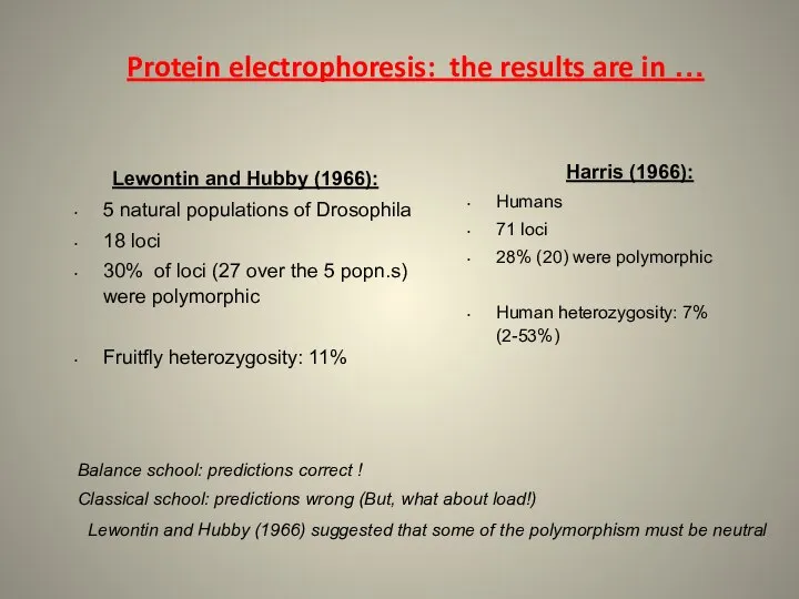 Lewontin and Hubby (1966) suggested that some of the polymorphism must be neutral