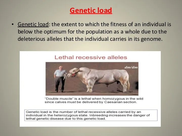 Genetic load Genetic load: the extent to which the fitness of an