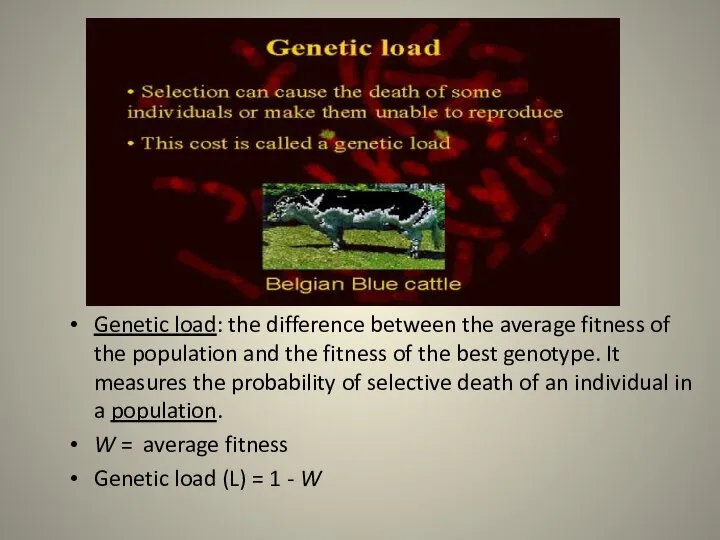 Genetic load: the difference between the average fitness of the population and