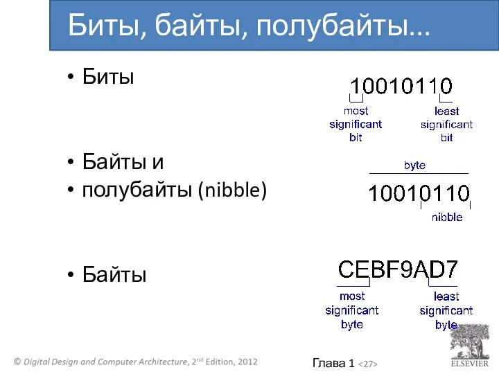 Биты Байты и полубайты (nibble) Байты Биты, байты, полубайты...