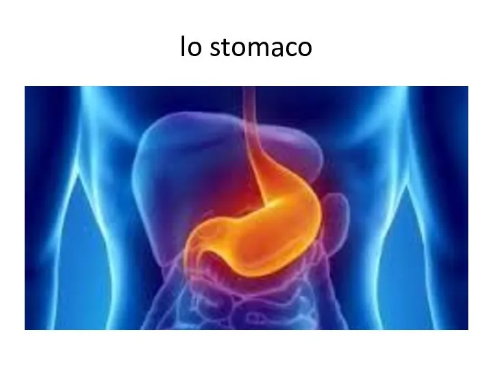 lo stomaco