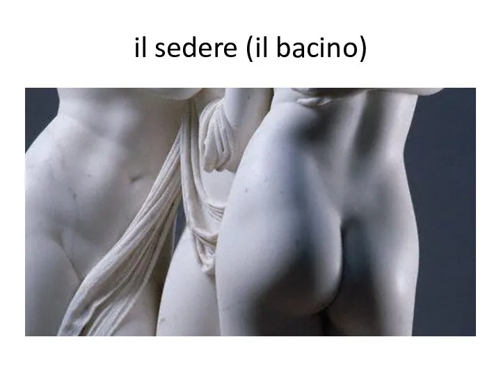 il sedere (il bacino)