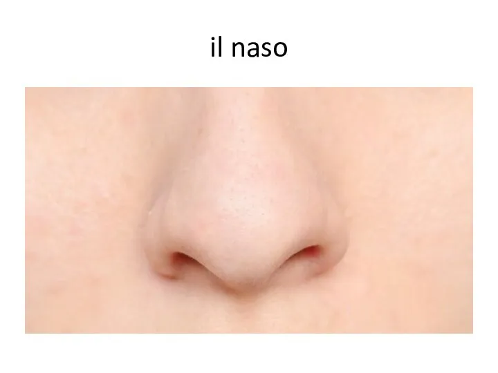 il naso