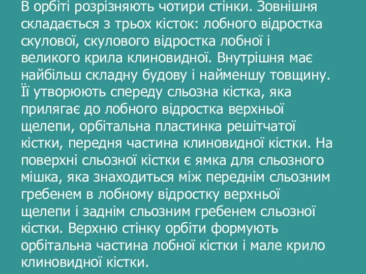 В орбіті розрізняють чотири стінки. Зовнішня складається з трьох кісток: лобного відростка