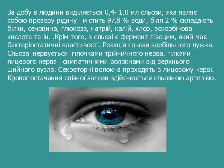 За добу в людини виділяється 0,4- 1,0 мл сльози, яка являє собою