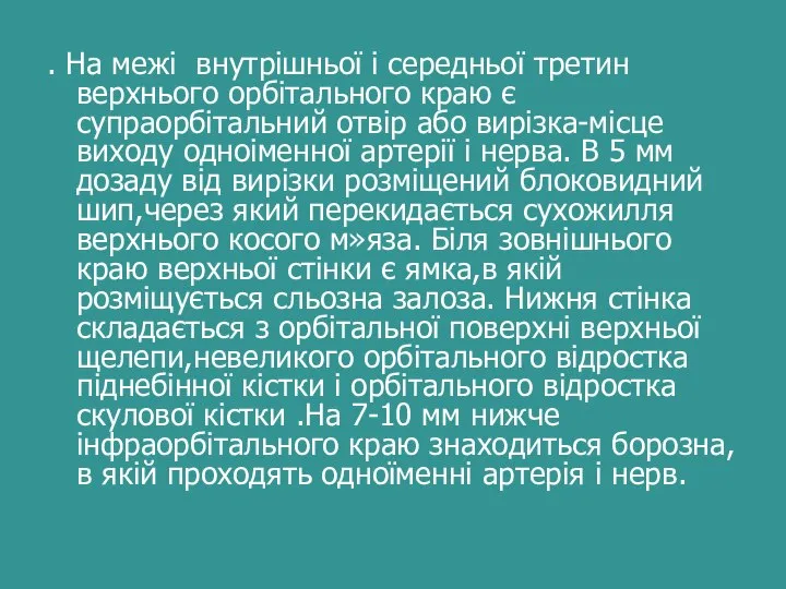 . На межі внутрішньої і середньої третин верхнього орбітального краю є супраорбітальний