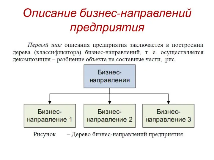 Описание бизнес-направлений предприятия