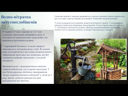 Водно-нітратна метгемоглобінемія В Україні 5,7 млн. городян та 11,7 млн. сільського населення