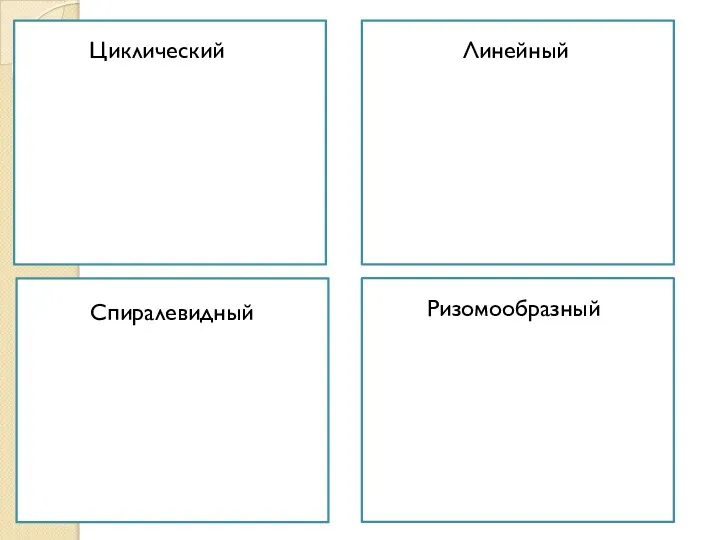 Циклический Циклический Линейный Спиралевидный Ризомообразный