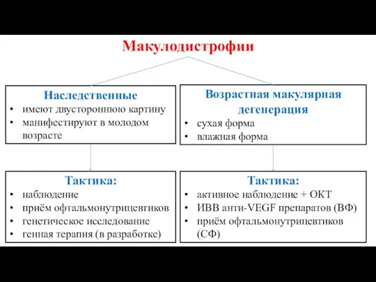 Макулодистрофии Наследственные имеют двустороннюю картину манифестируют в молодом возрасте Возрастная макулярная дегенерация