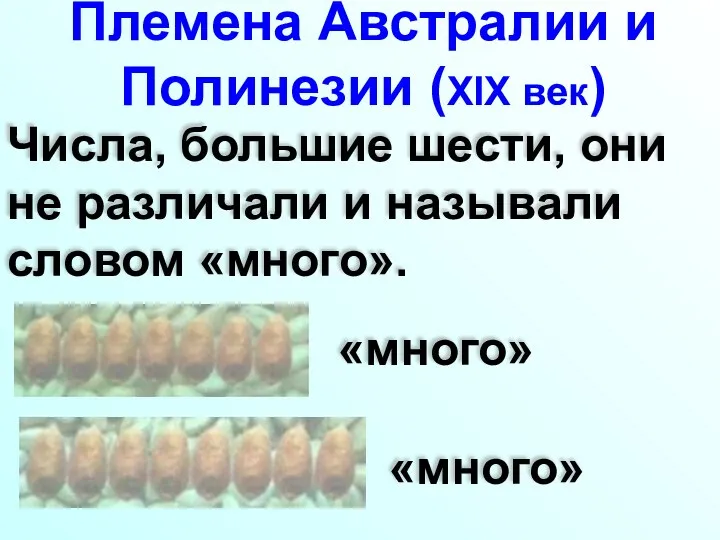 Племена Австралии и Полинезии (XIX век) Числа, большие шести, они не различали