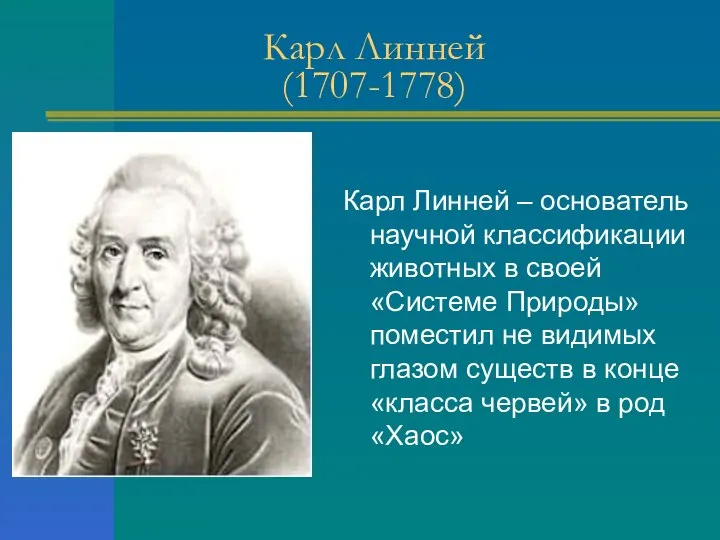Карл Линней (1707-1778) Карл Линней – основатель научной классификации животных в своей