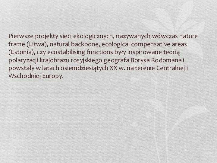 Pierwsze projekty sieci ekologicznych, nazywanych wówczas nature frame (Litwa), natural backbone, ecological