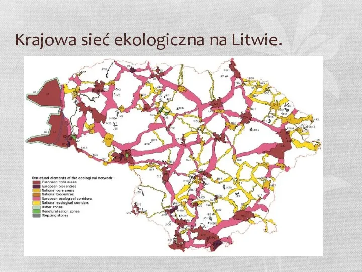 Krajowa sieć ekologiczna na Litwie.
