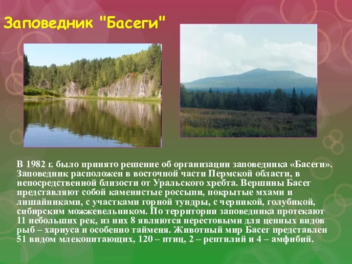 Заповедник "Басеги" В 1982 г. было принято решение об организации заповедника «Басеги».