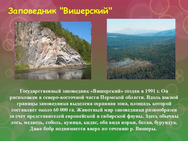 Заповедник "Вишерский" Государственный заповедник «Вишерский» создан в 1991 г. Он расположен в