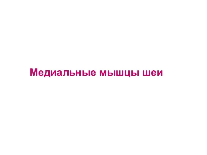 Медиальные мышцы шеи