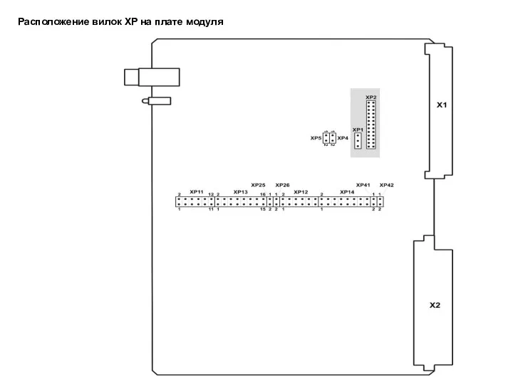 Расположение вилок XP на плате модуля