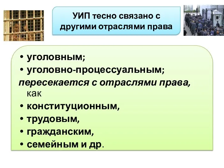 УИП тесно связано с другими отраслями права уголовным; уголовно-процессуальным; пересекается с отраслями