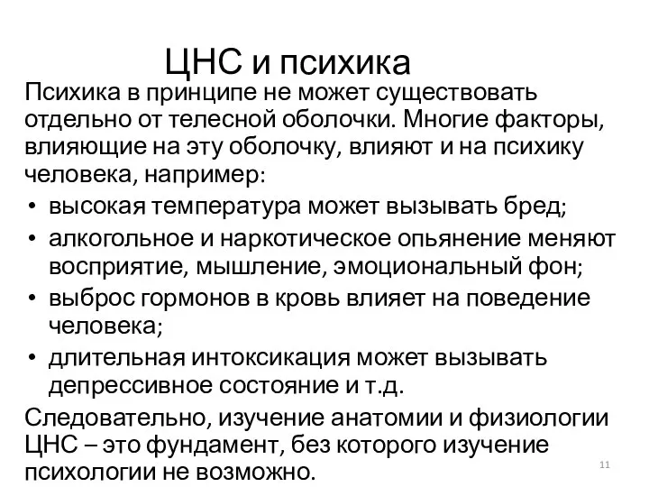 ЦНС и психика Психика в принципе не может существовать отдельно от телесной