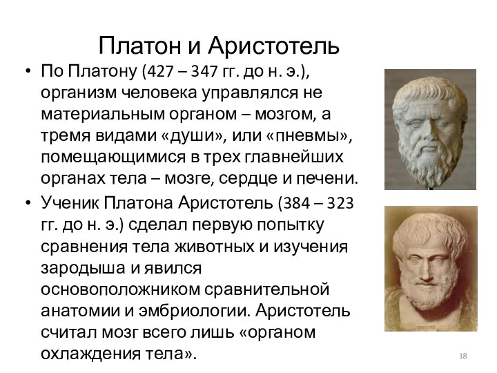 Платон и Аристотель По Платону (427 – 347 гг. до н. э.),