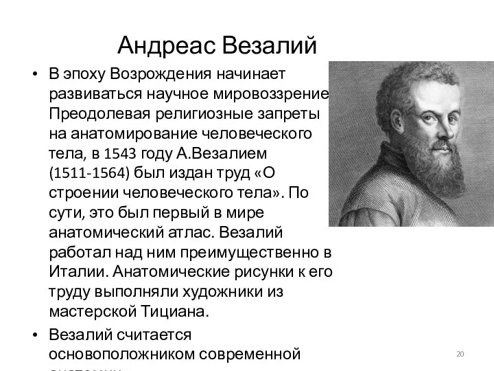 Андреас Везалий В эпоху Возрождения начинает развиваться научное мировоззрение. Преодолевая религиозные запреты