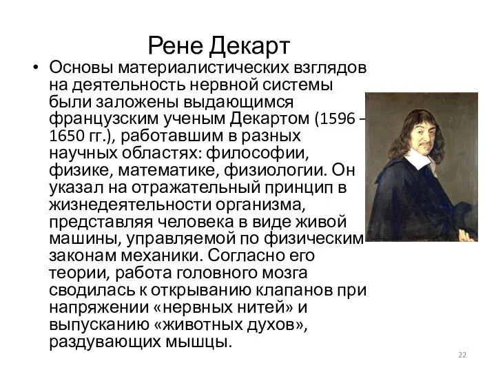 Рене Декарт Основы материалистических взглядов на деятельность нервной системы были заложены выдающимся