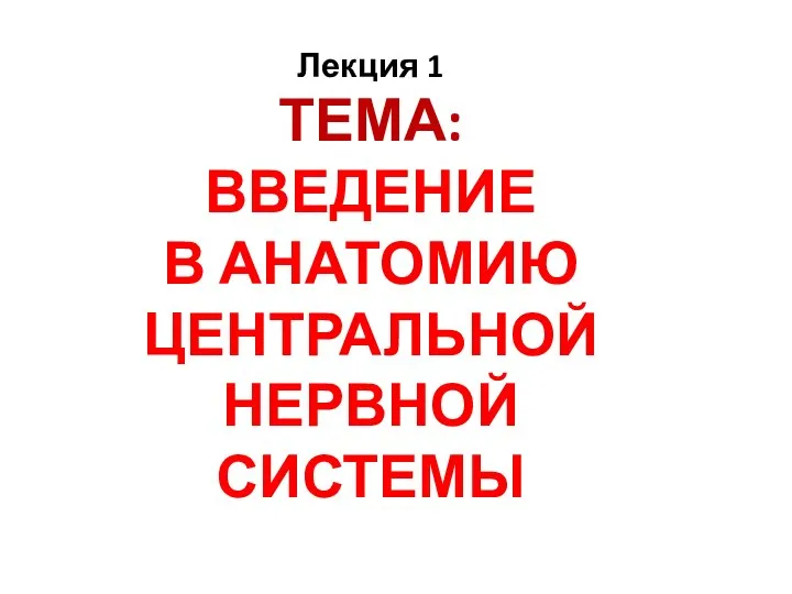 ТЕМА: ВВЕДЕНИЕ В АНАТОМИЮ ЦЕНТРАЛЬНОЙ НЕРВНОЙ СИСТЕМЫ Лекция 1