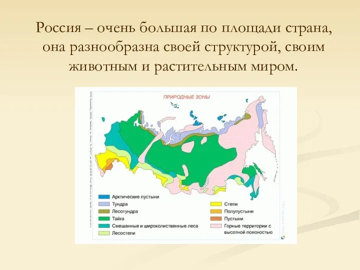 Россия – очень большая по площади страна, она разнообразна своей структурой, своим животным и растительным миром.