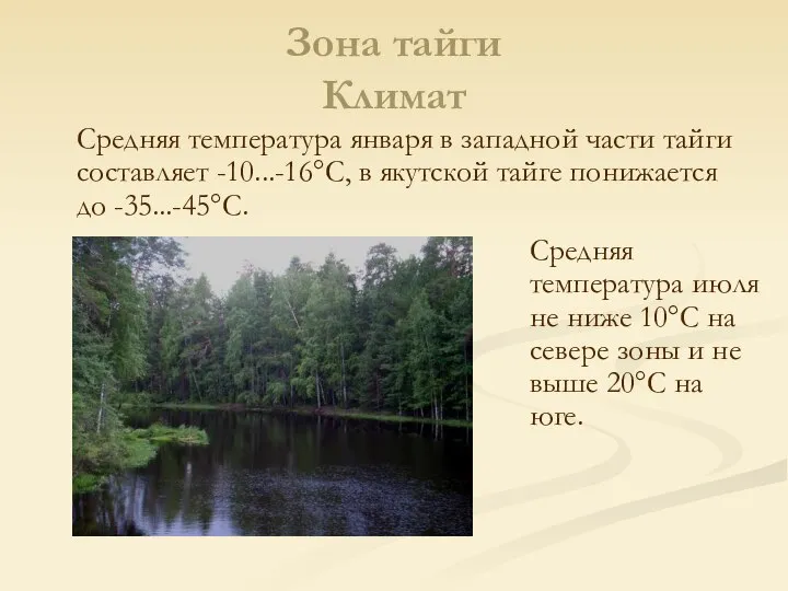 Зона тайги Климат Средняя температура января в западной части тайги составляет -10...-16°С,