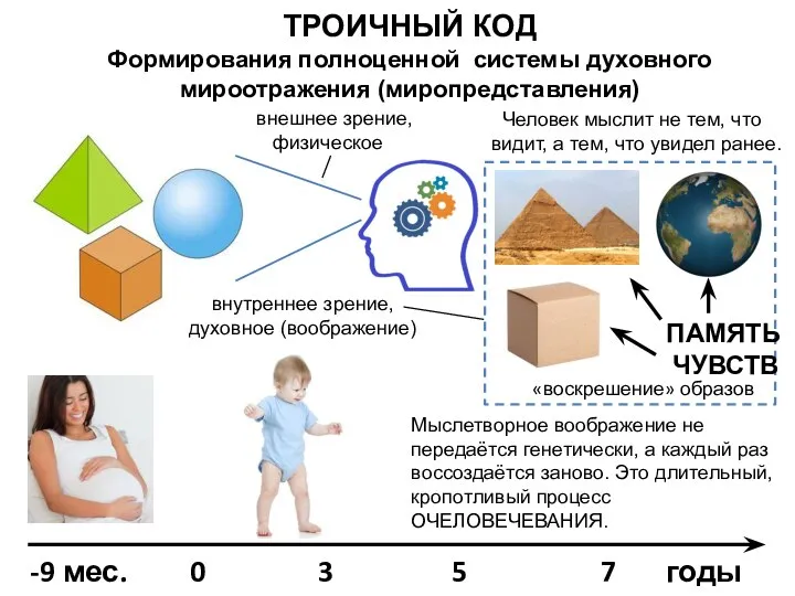 ТРОИЧНЫЙ КОД Формирования полноценной системы духовного мироотражения (миропредставления) внешнее зрение, физическое Человек