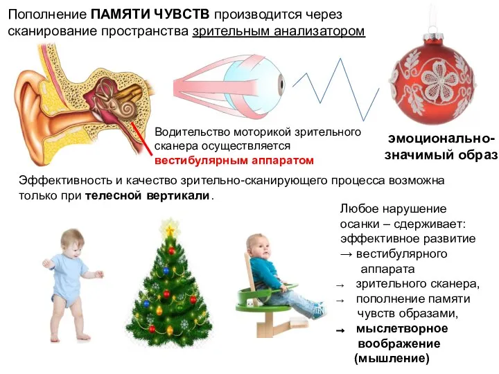 Пополнение ПАМЯТИ ЧУВСТВ производится через сканирование пространства зрительным анализатором эмоционально-значимый образ Водительство