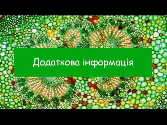 Додаткова інформація